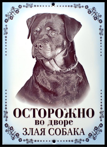 №41 цена 70гр.