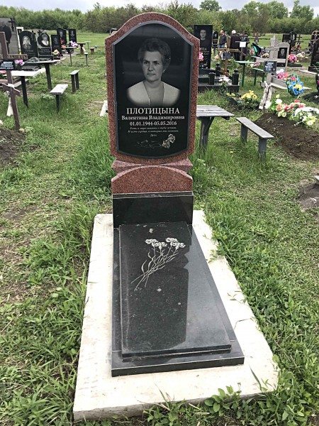 Плотицына В.В.