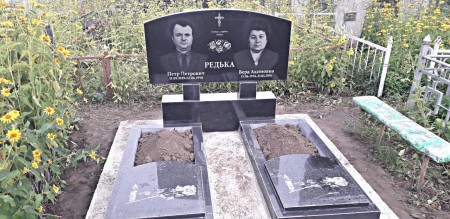 Редька