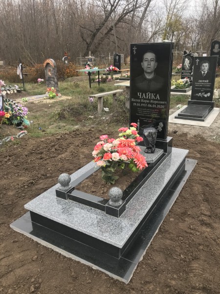 Чайка Віктор Жорж
